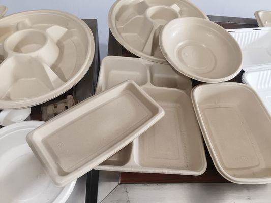 سیستم پوشش اسپری خودکار برای پالپ قالب گذاری شده.