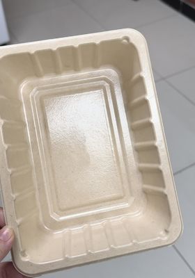 خط پوشش اسپین داخلی برای محصولات قالب بندی پالپ - ماشین پوشش دقیق کاملا خودکار