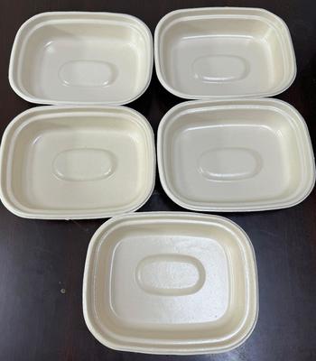 نمونهساز پوششدهی چرخشی دو ایستگاهی خنثی از کربن برای ظروف غذاخوری گیاهی - راهحل خنثی از کربن برای بشقابها، کاسهها و سینیهای گوشت